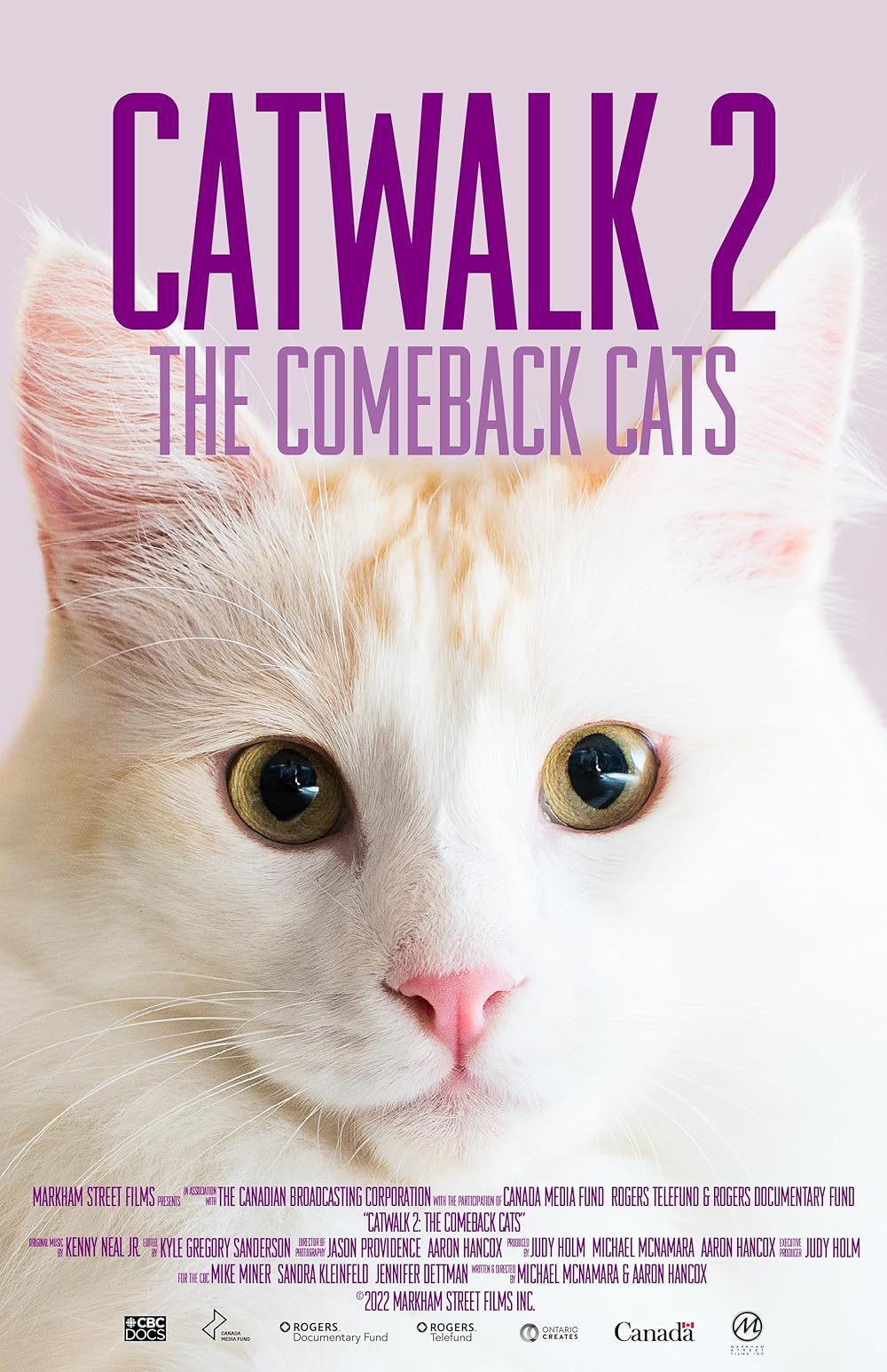 Catwalk 2  The Comeback Cats