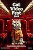 Primary photo for CatVideoFest 2023