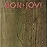 Primary photo for Bon Jovi: Born to Be My Baby