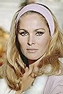 Ursula Andress's primary photo Ursula Andress's primary photo