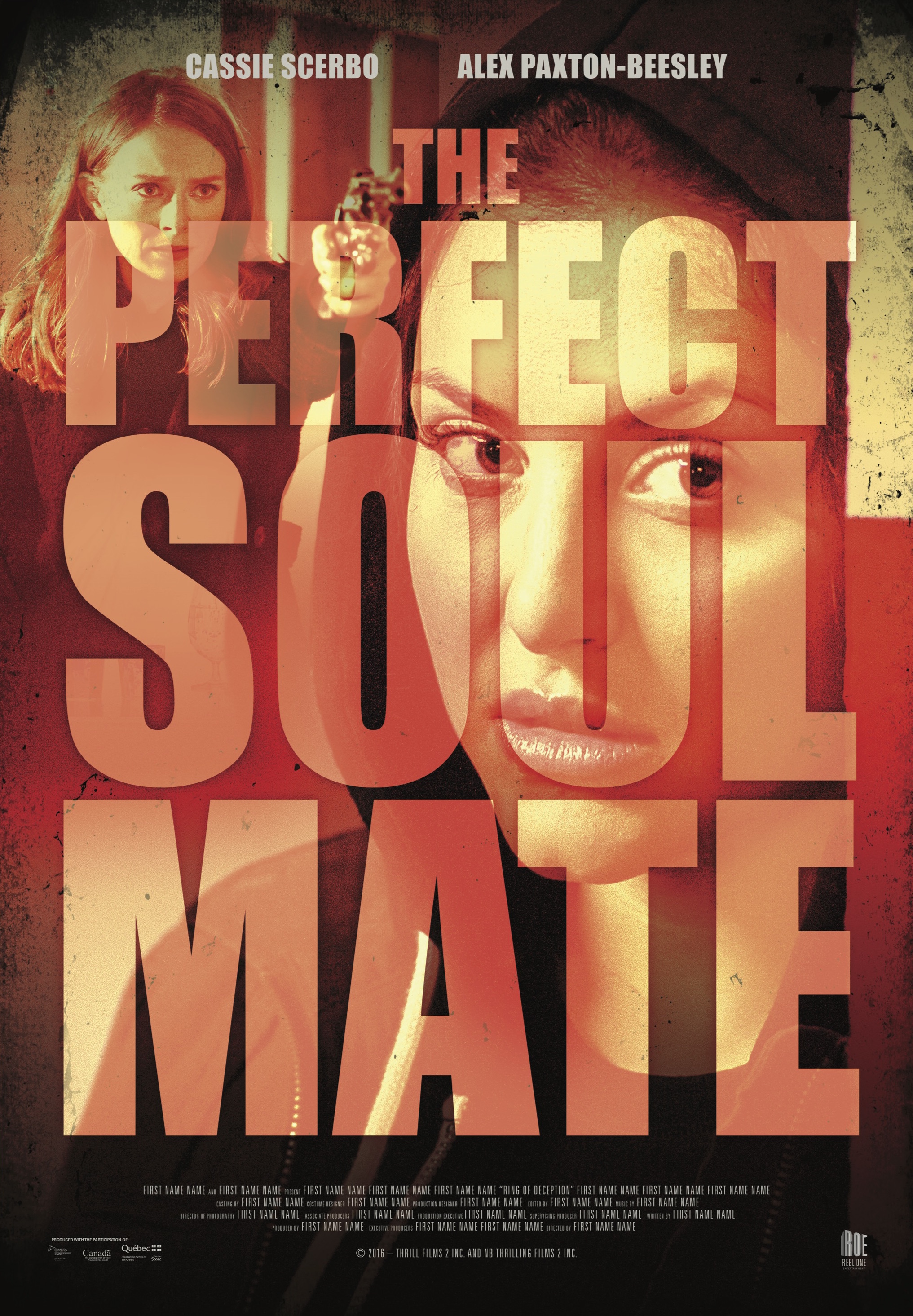 Poster of The Perfect Soulmate