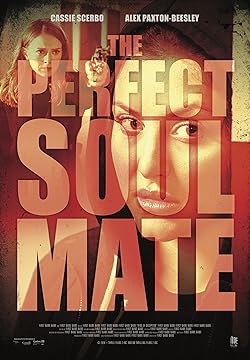 Poster of The Perfect Soulmate
