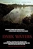 Primary photo for Dark Waters Primary photo for Dark Waters