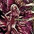 Primary photo for Britney Spears: Everytime