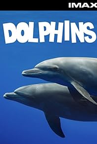 Primary photo for Jake Learns to Dive and Curaçao Dolphins