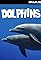 Jake Learns to Dive and Curaçao Dolphins's primary photo