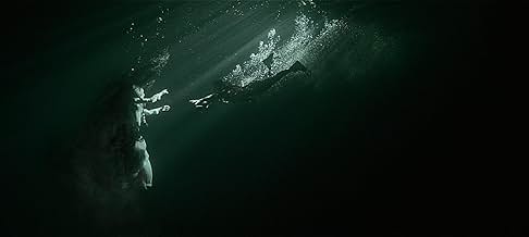 पोस्टर देखें