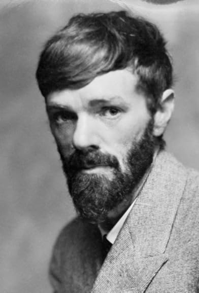 Primary photo for D.H. Lawrence Primary photo for D.H. Lawrence