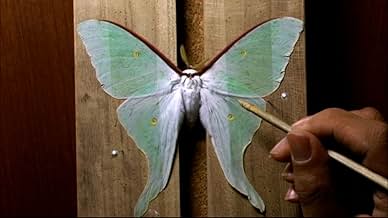 पोस्टर देखें