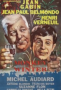 Primary photo for A Monkey in Winter