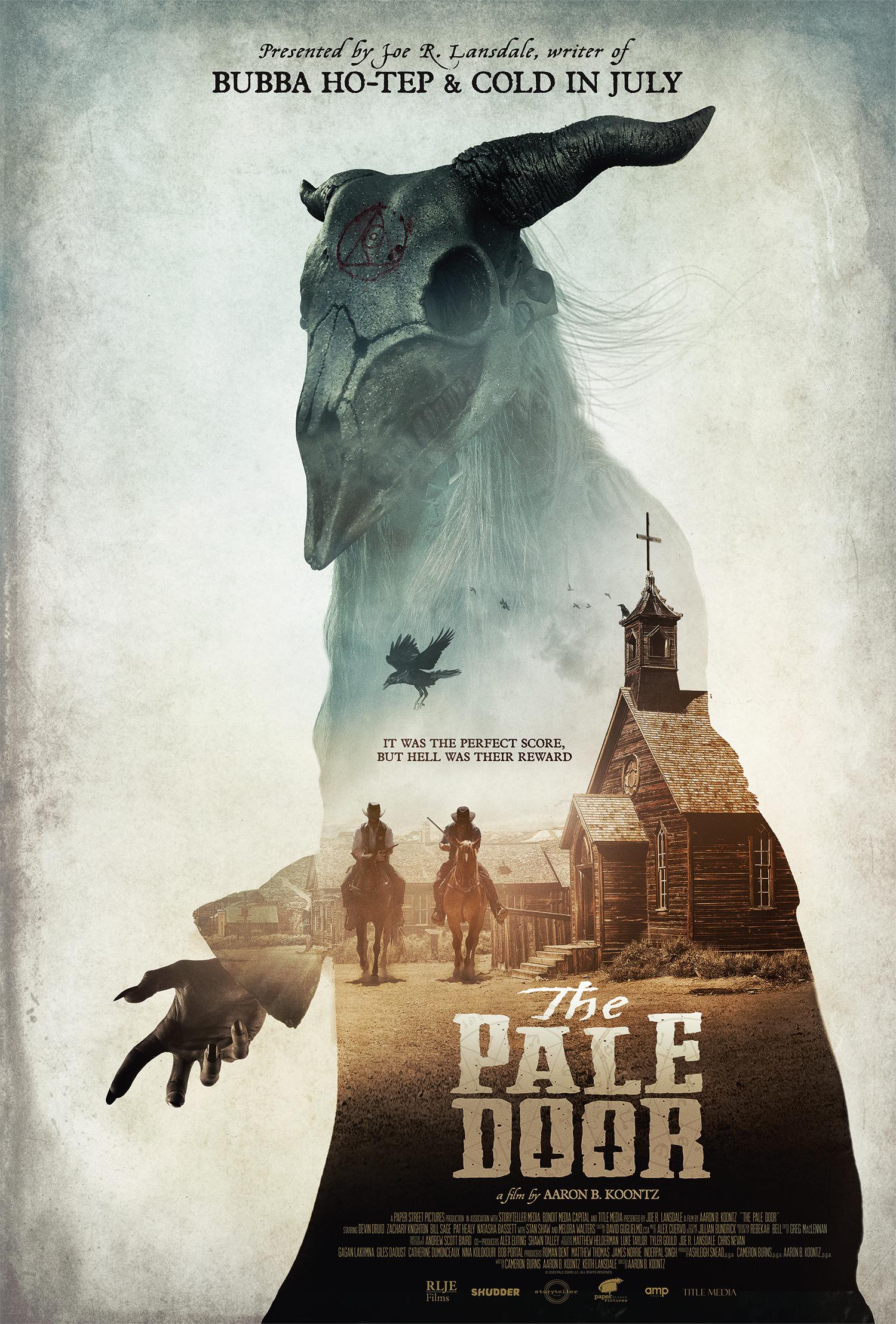 Poster of The Pale Door