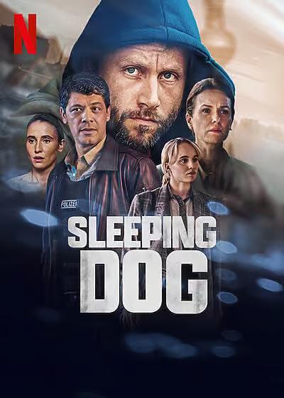Sleeping Dog Poster