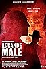 Primary photo for Il grande male
