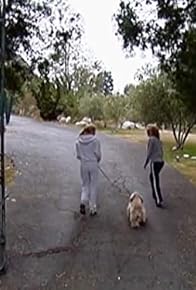 Primary photo for Brande Needs a Man