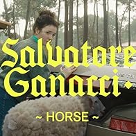 Primary photo for Salvatore Ganacci: Horse
