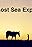 The Lost Sea Expedition