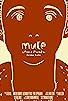 Primary photo for Mute Primary photo for Mute