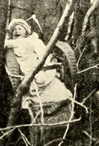 Primary photo for Baby's Adventures