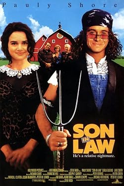 Poster of Son in Law
