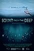 Primary photo for Sound from the Deep Primary photo for Sound from the Deep