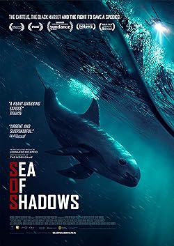 Poster of Sea of Shadows