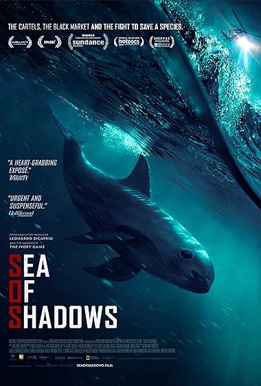 Sea of Shadows 2019