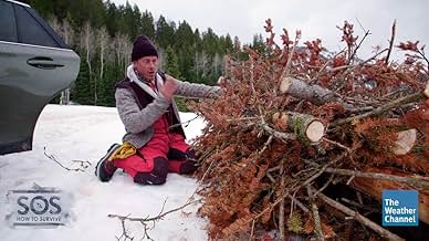 पोस्टर देखें