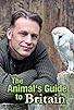 Primary photo for The Animal's Guide to Britain