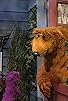 Primary photo for Scientific Bear Primary photo for Scientific Bear