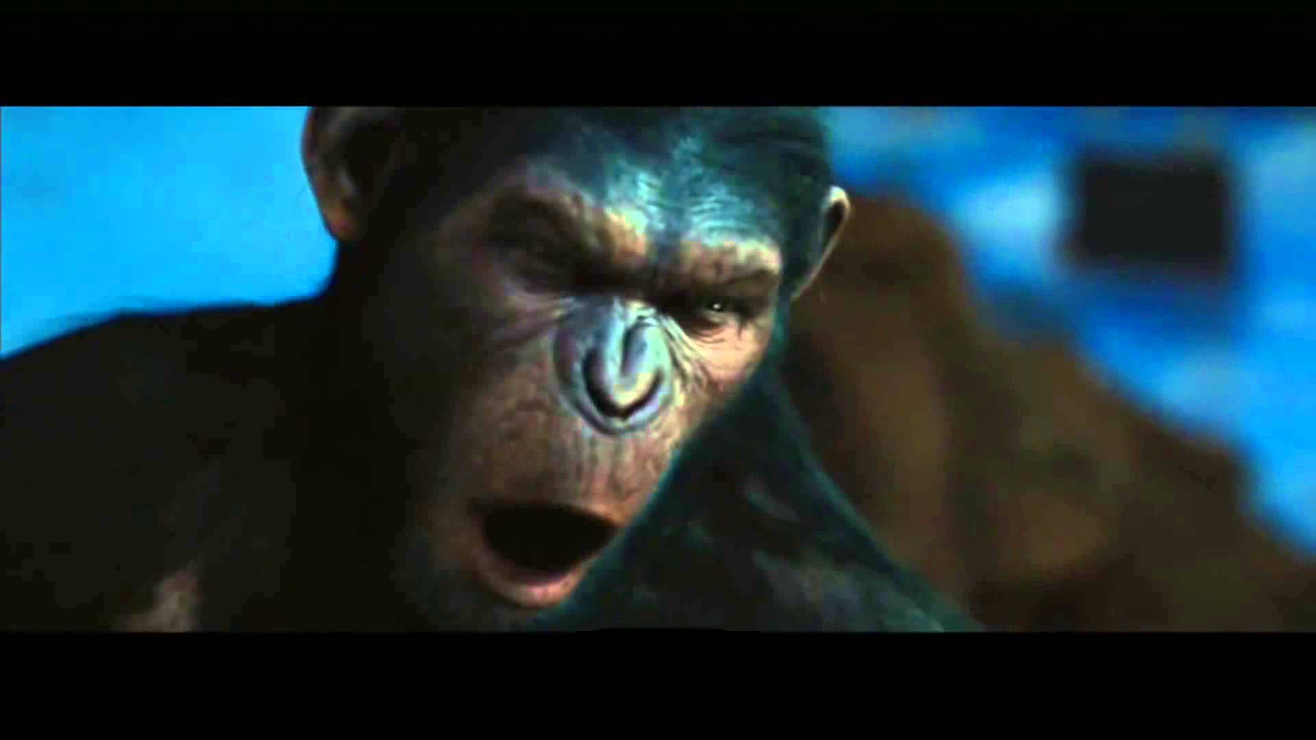 Il manque du texte à la photo.