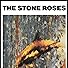 Primary photo for The Stone Roses: Fool's Gold Primary photo for The Stone Roses: Fool's Gold