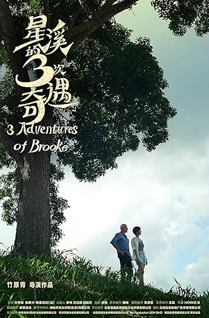Three Adventures of Brooke (2018)