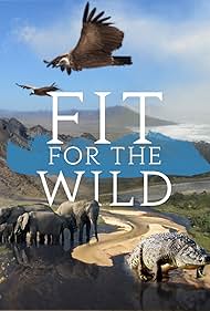 その他 Wild Africa-Wildlifes Survival of the Fittest [DVD] Amazon.com: Wild Africa: (BBC Atlas of the Natural World