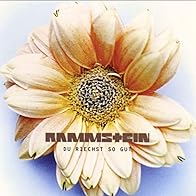 Primary photo for Rammstein: Du riechst so gut