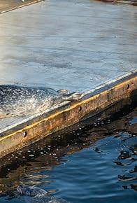 Primary photo for Tod im Robbenbecken