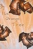 Primary photo for By the Orange Tree Primary photo for By the Orange Tree