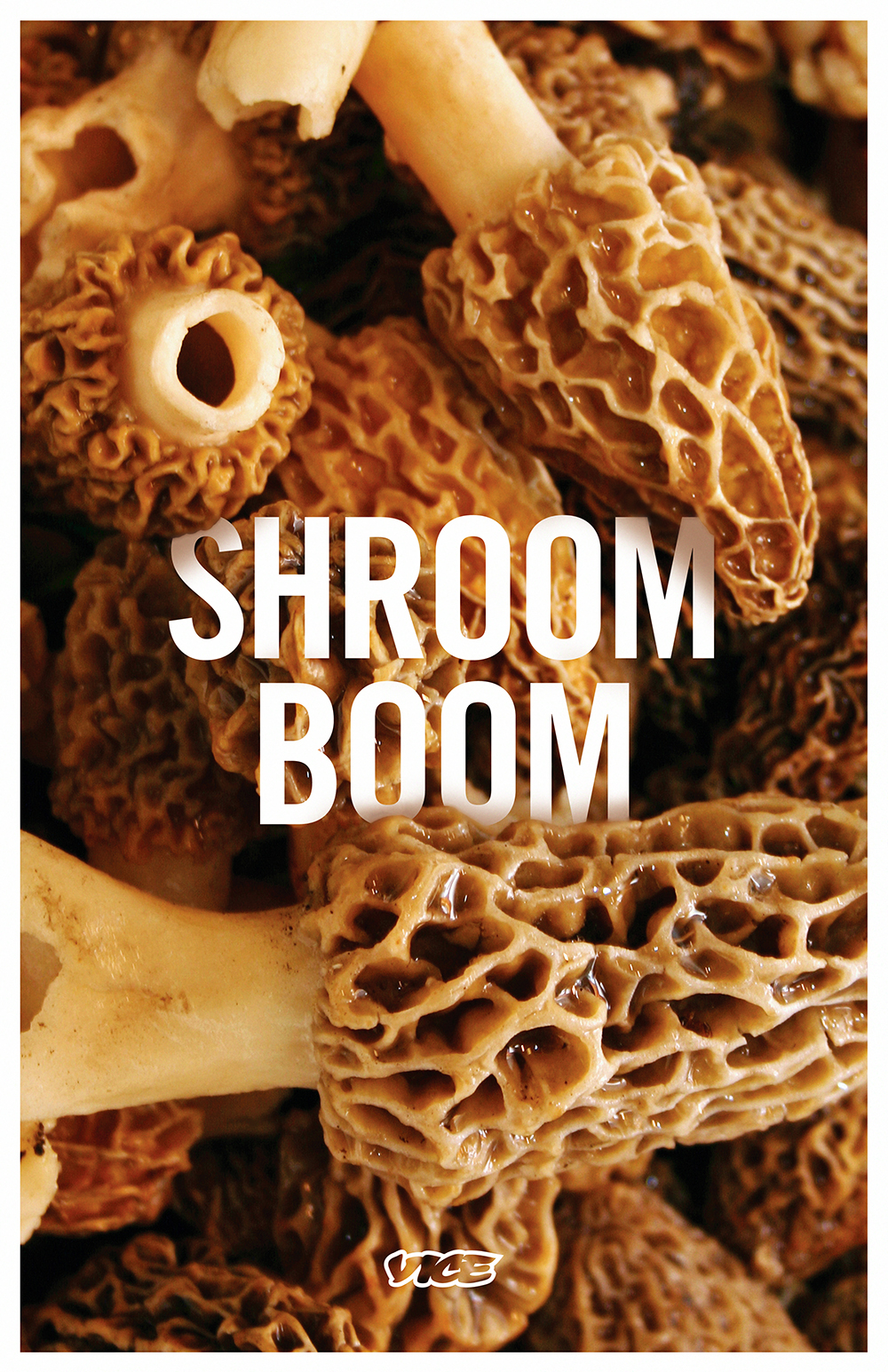 Shroom Boom