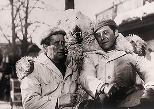 पोस्टर देखें