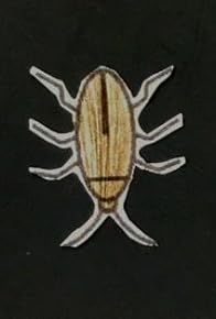 Primary photo for Roaches