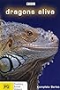 Primary photo for Dragons Alive