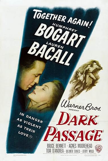 Dark Passage movie poster - watch and download free