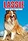 Lassie: The Adventures of Neeka's primary photo