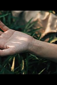 Primary photo for Watering the Sun