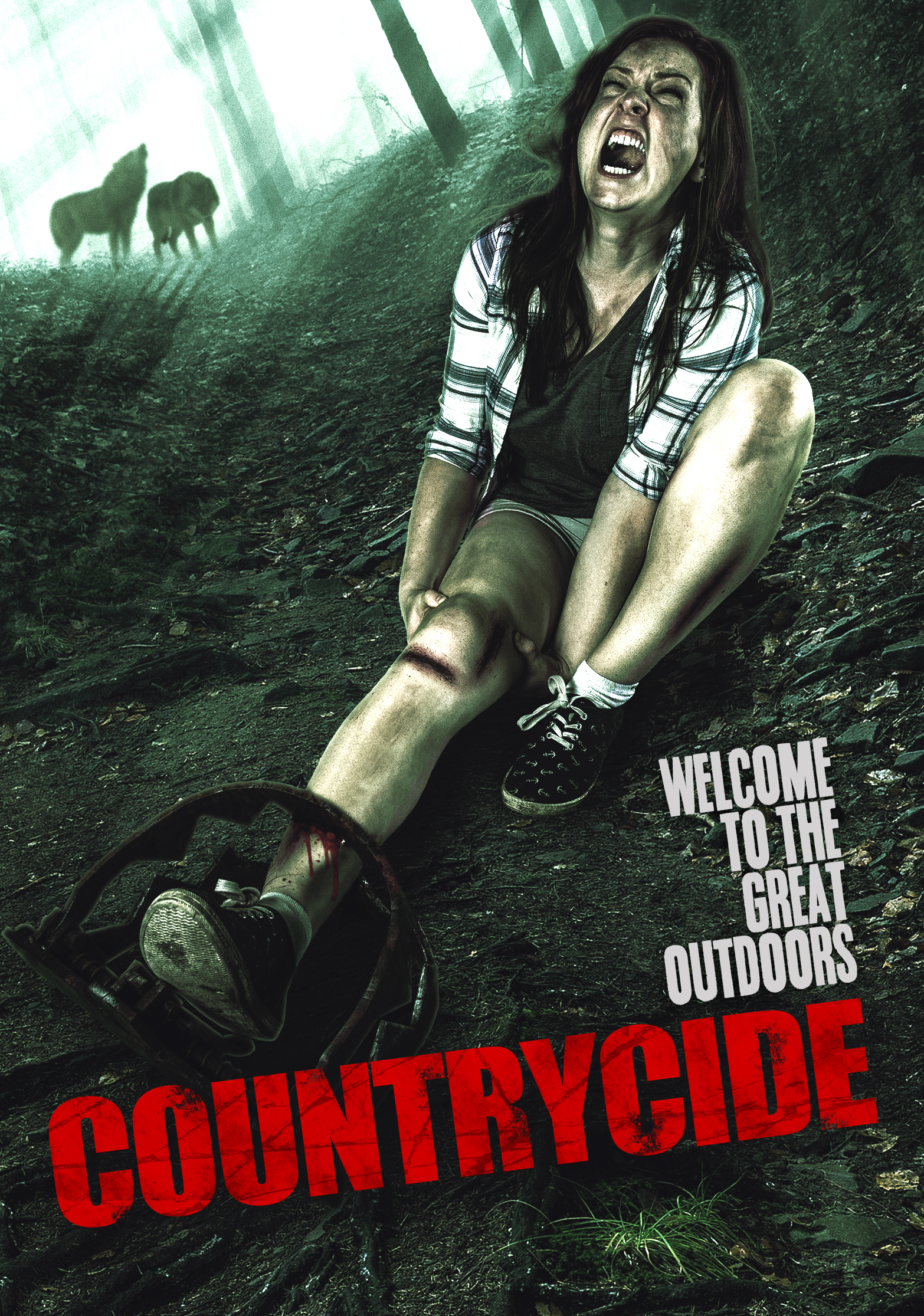 Poster of Countrycide