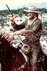 Primary photo for Cattle Drive
