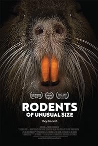 Primary photo for Rodents of Unusual Size