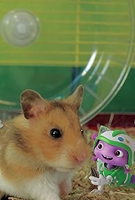Primary photo for Project: Hamster