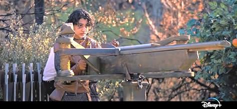 पोस्टर देखें