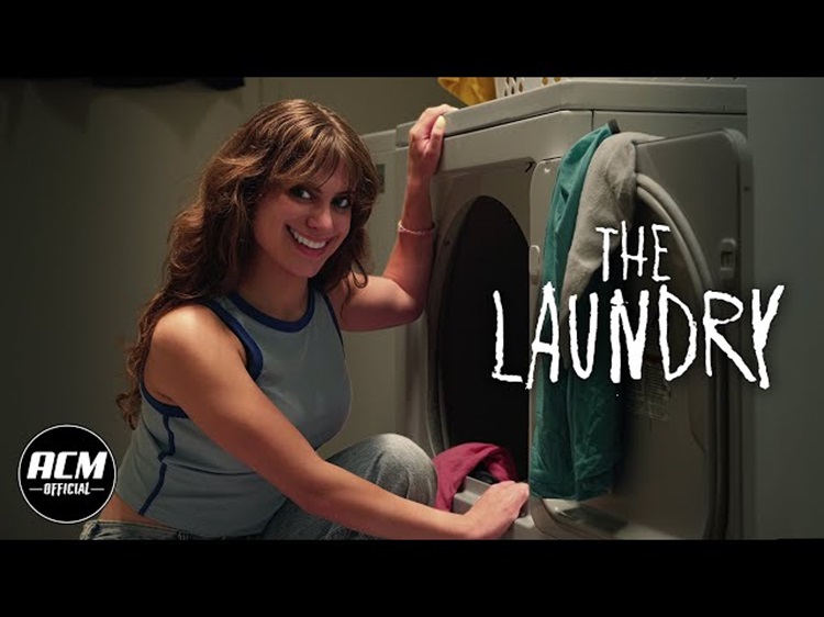 The Laundry
