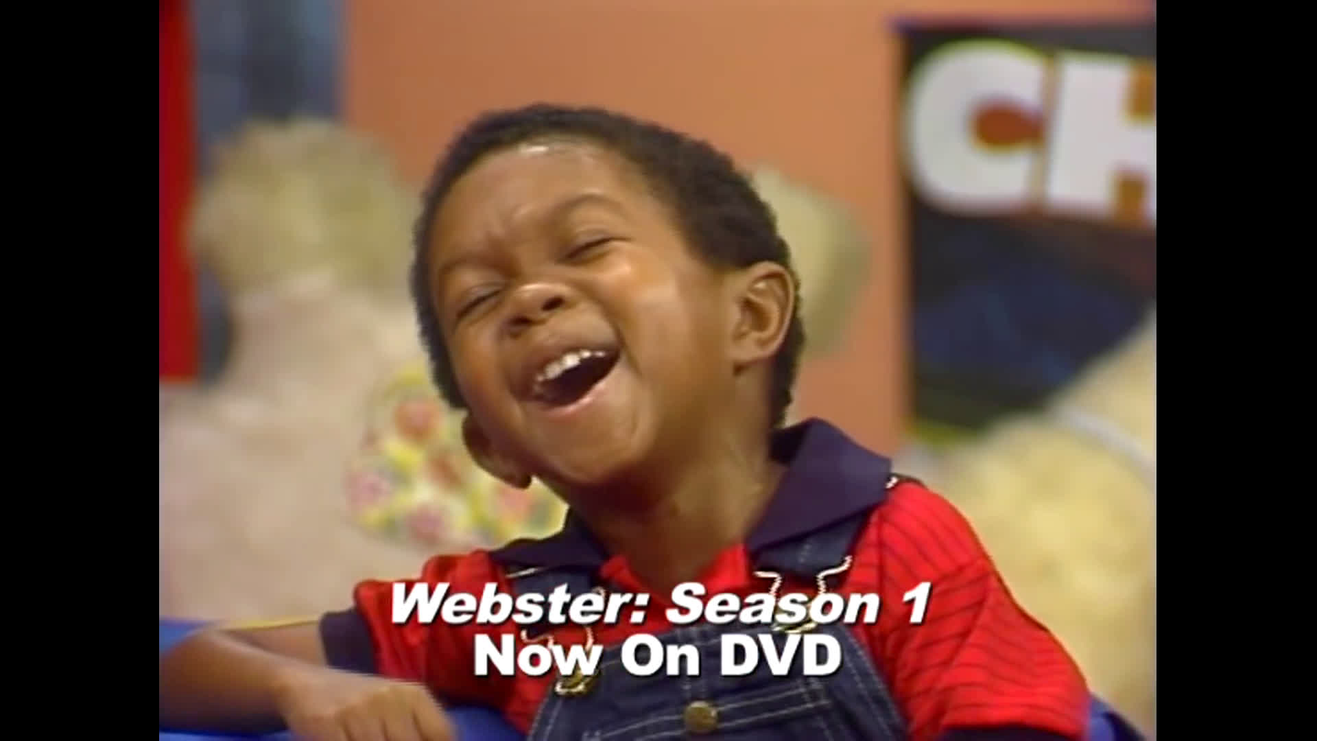 Webster Webster